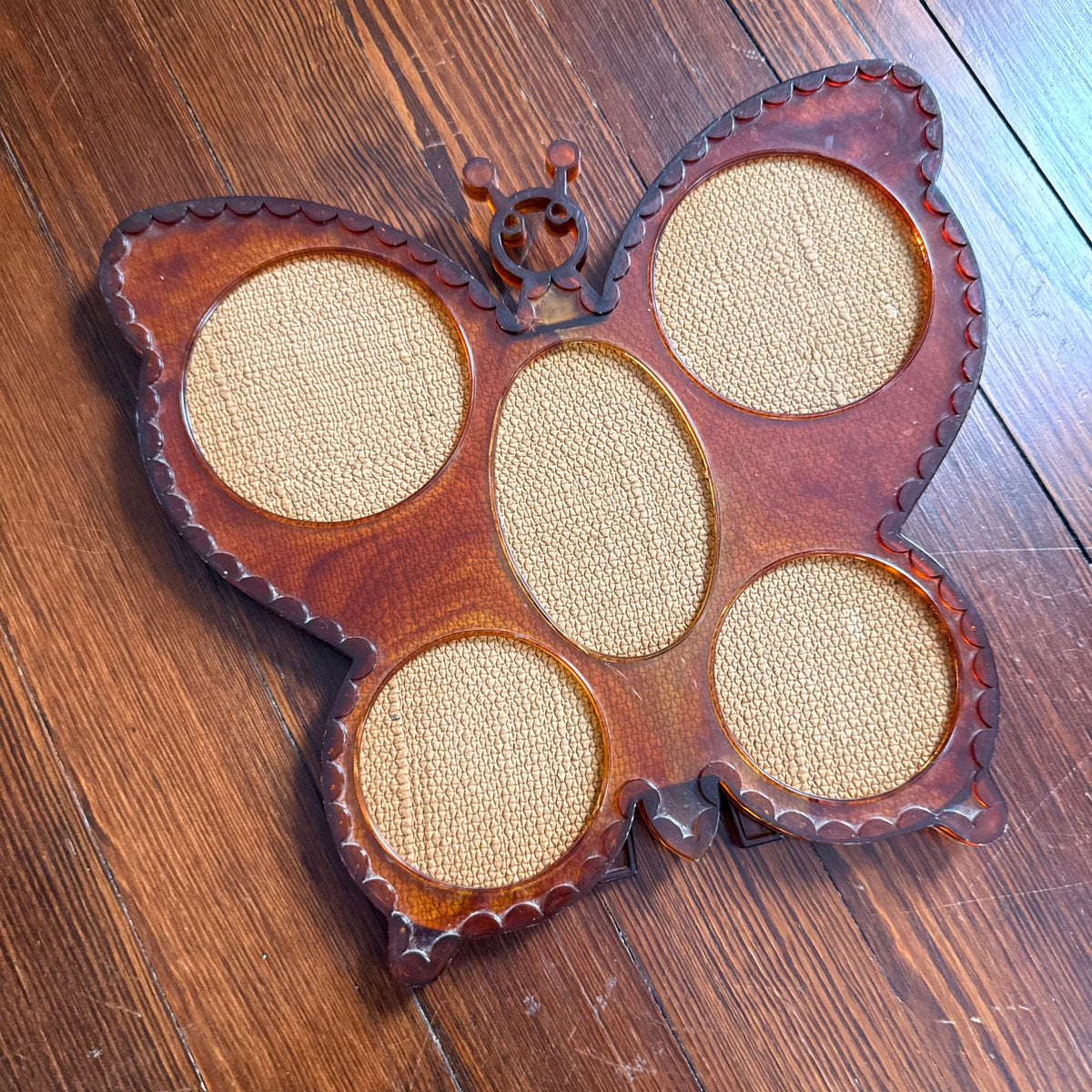 vintage butterfly frame
