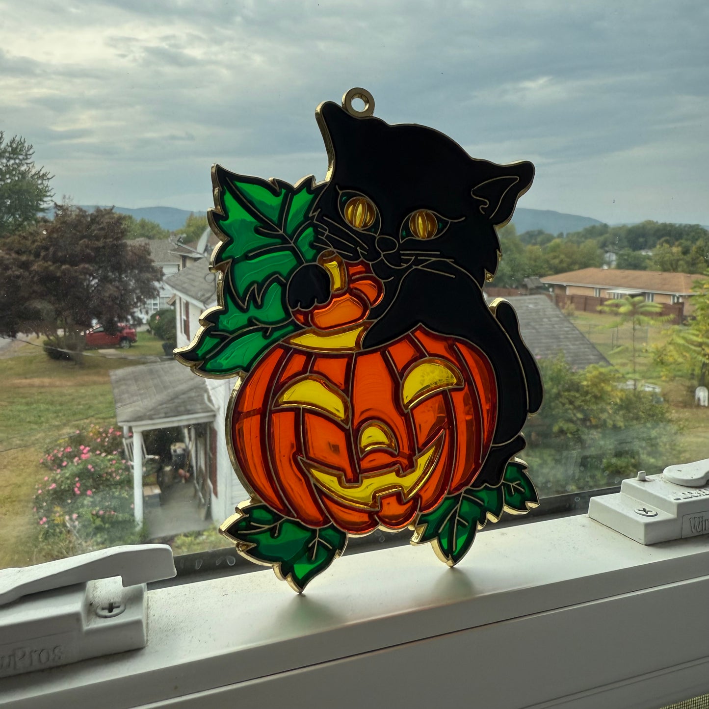 black cat sun catcher